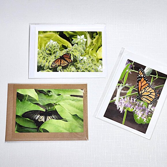 Butterfly blank photo greeting cards - Picture 5 of 8